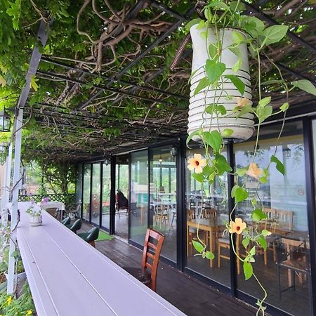 Jeju Doldam B&B Seogwipo Exterior photo
