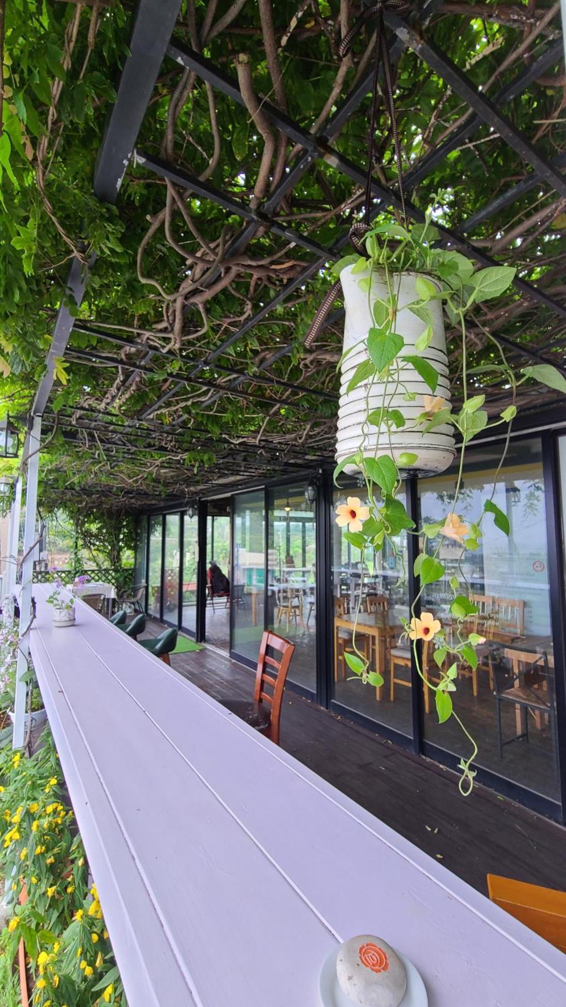 Jeju Doldam B&B Seogwipo Exterior photo
