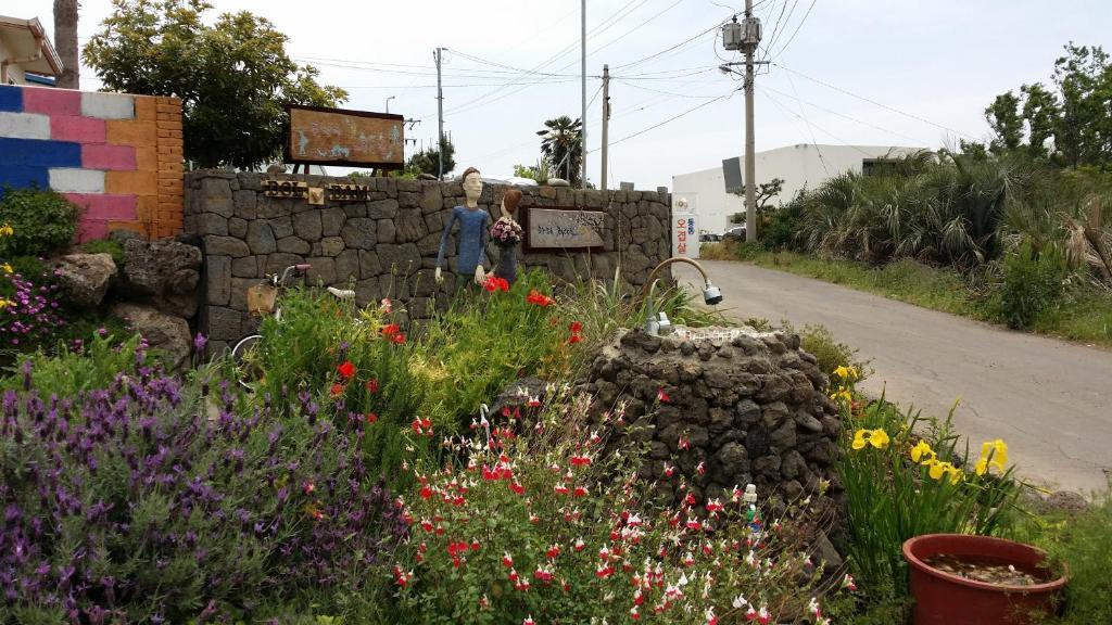 Jeju Doldam B&B Seogwipo Exterior photo